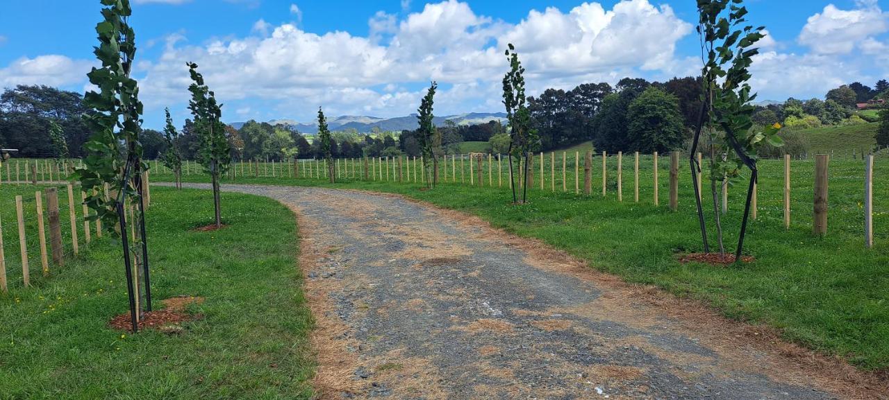 Country Comfort - Only 10 Minutes From Hamilton Cbd Exterior foto