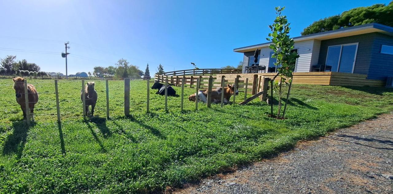Country Comfort - Only 10 Minutes From Hamilton Cbd Exterior foto