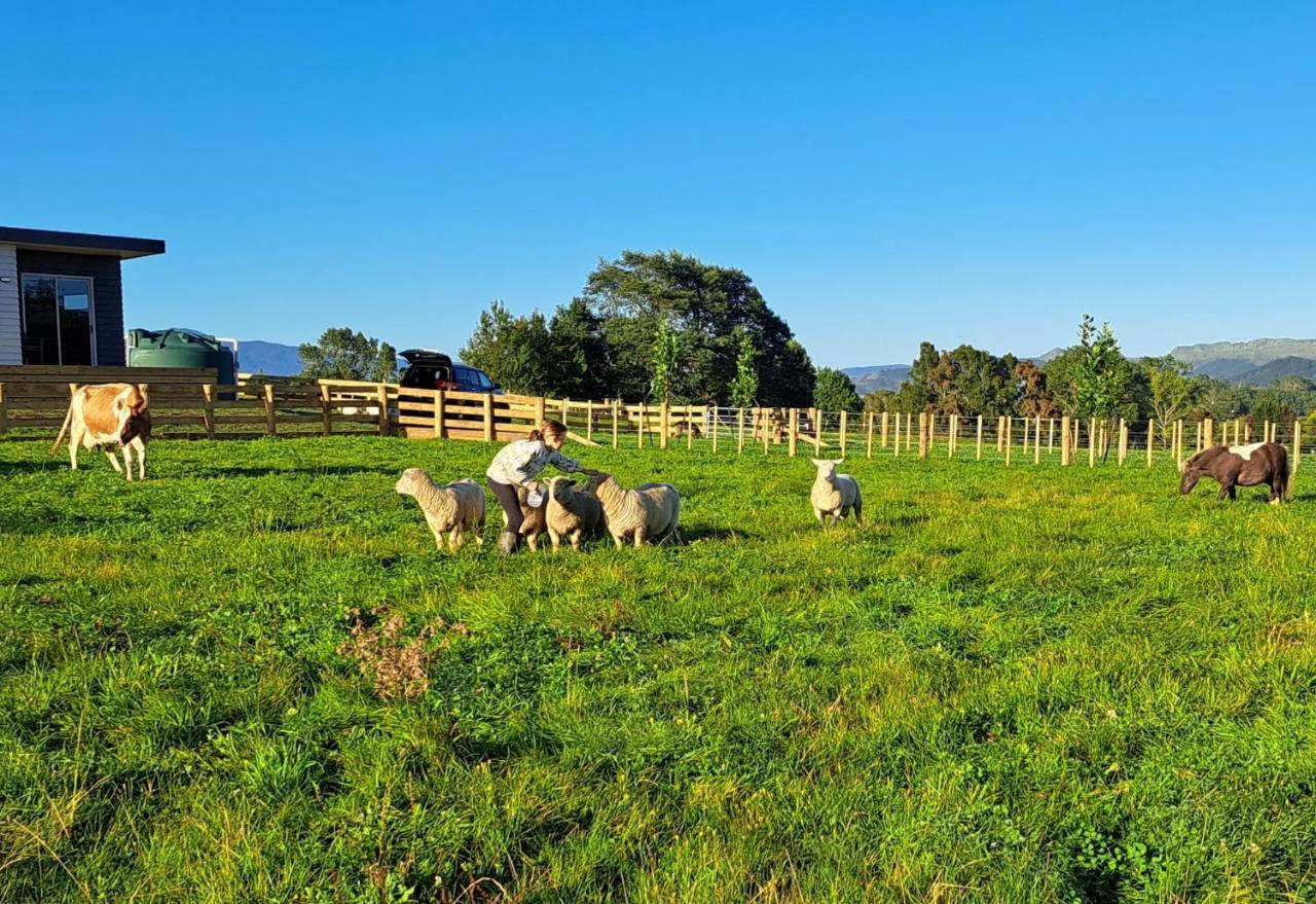 Country Comfort - Only 10 Minutes From Hamilton Cbd Exterior foto