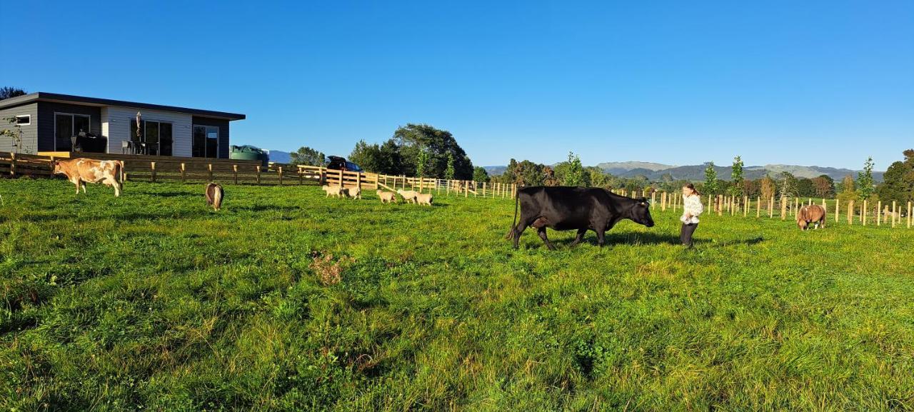 Country Comfort - Only 10 Minutes From Hamilton Cbd Exterior foto